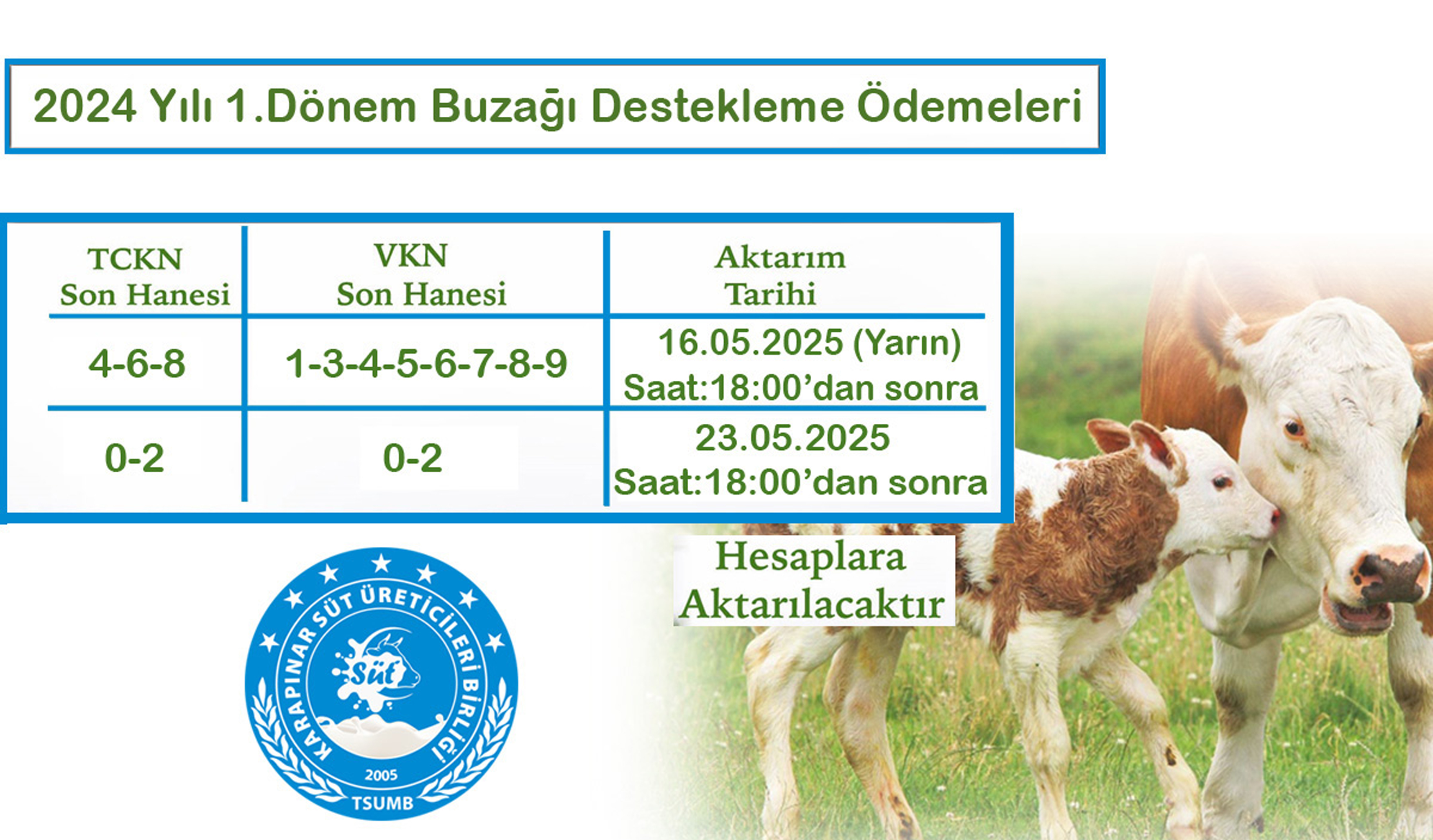 2024 yılı 1.dönem buzağı destekleme ödemeleri.