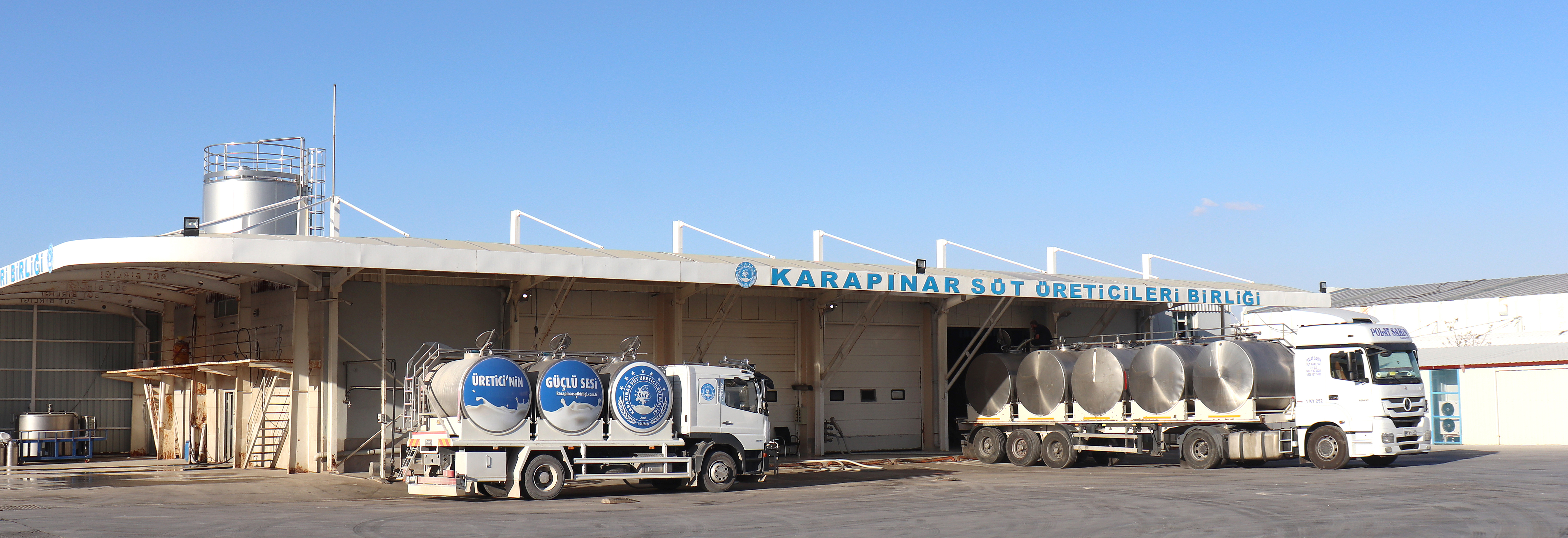 SÜT BİRLİĞİ